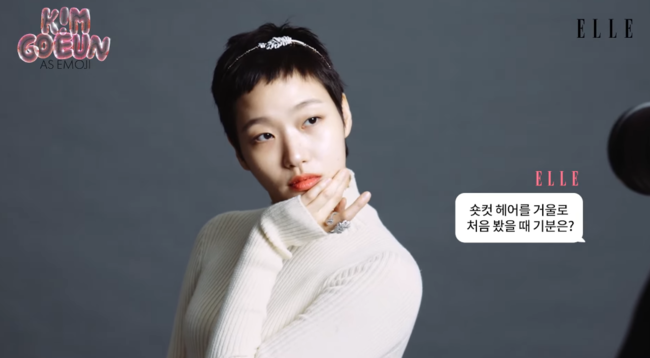 엘르 진 이미지