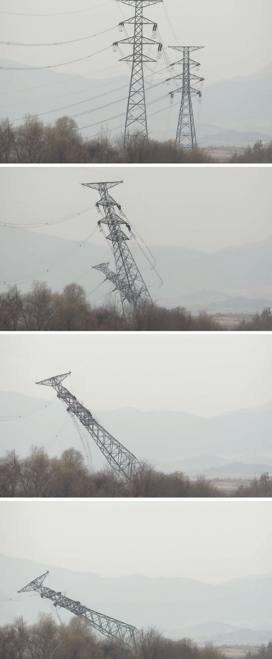 자르다 이미지