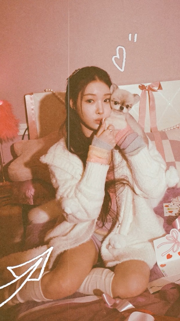 청하 이미지