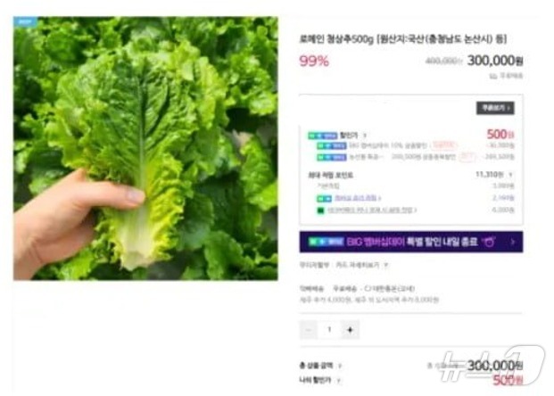 상추 이미지