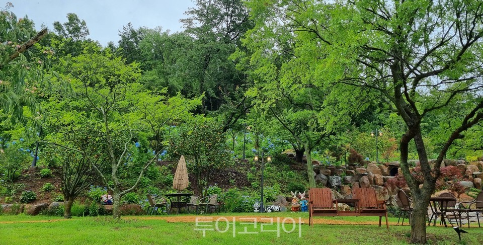 비원 이미지
