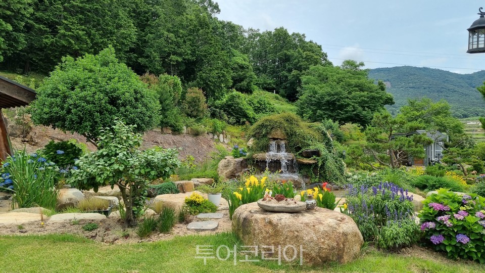 비원 이미지