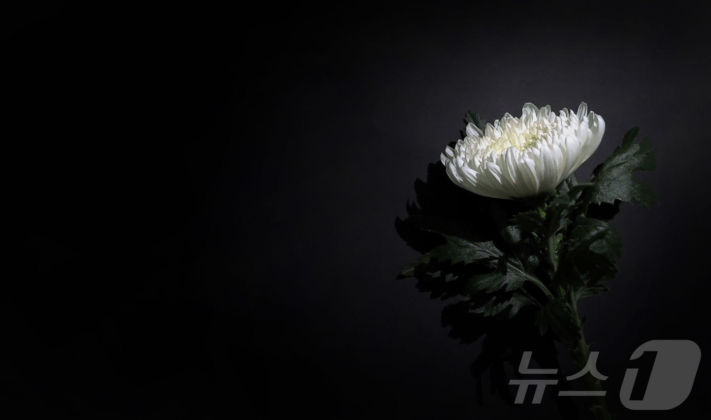 주식회사 씨21 이미지