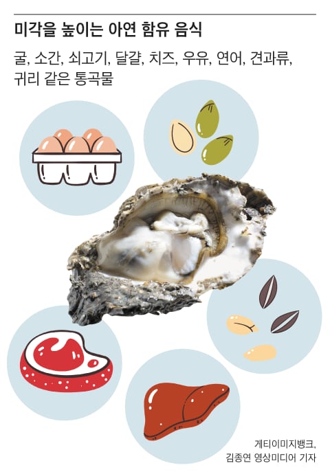 미각 이미지