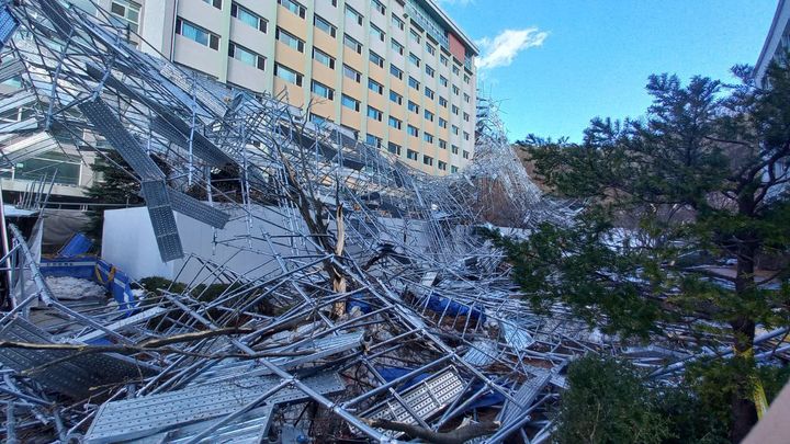 용인한국외국어대학교부설고등학교 이미지