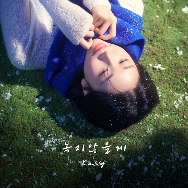 케이시 이미지