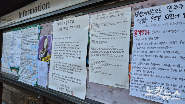 평화당1979 이미지