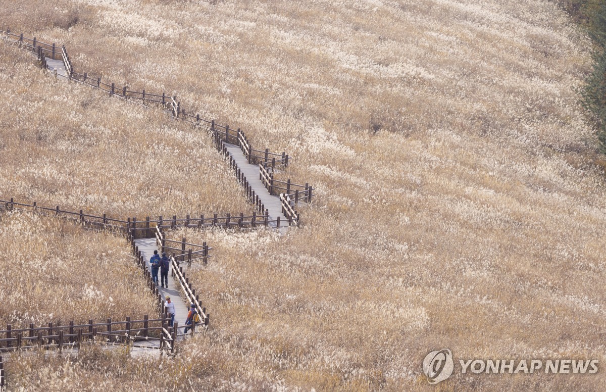 알프스행정 이미지