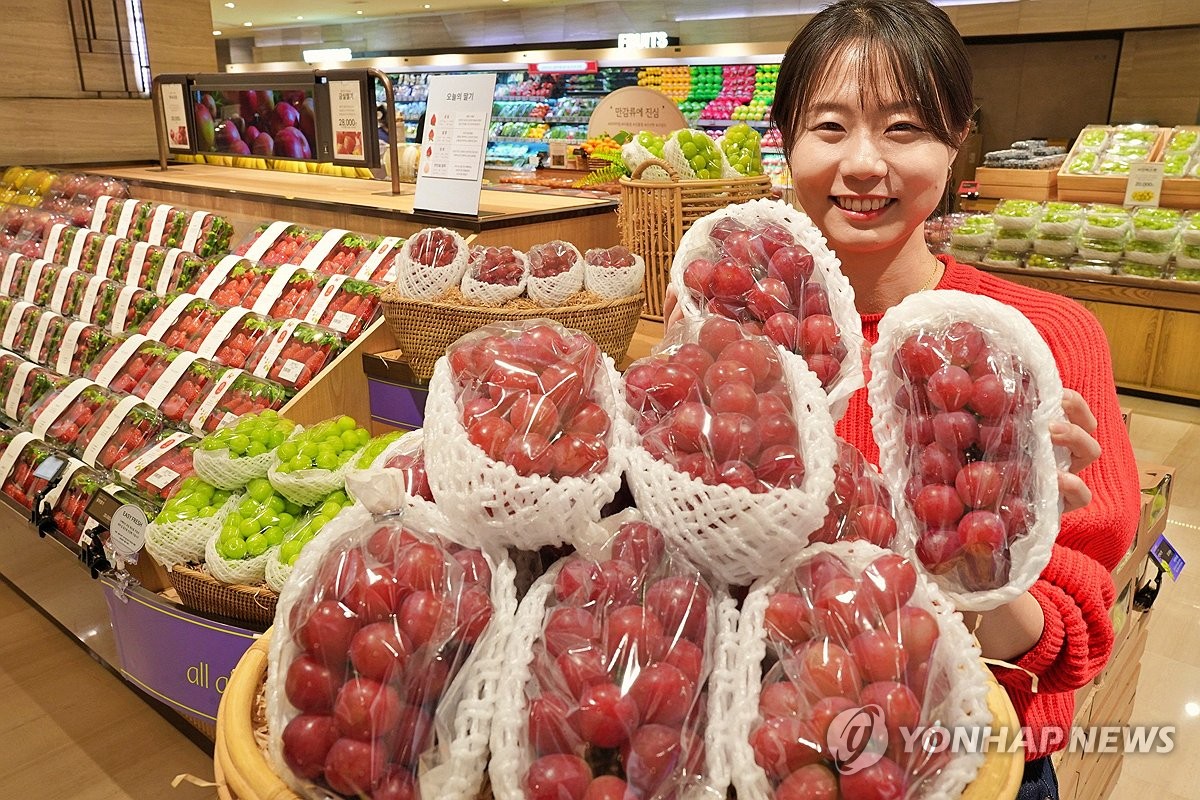 글로리스타 이미지