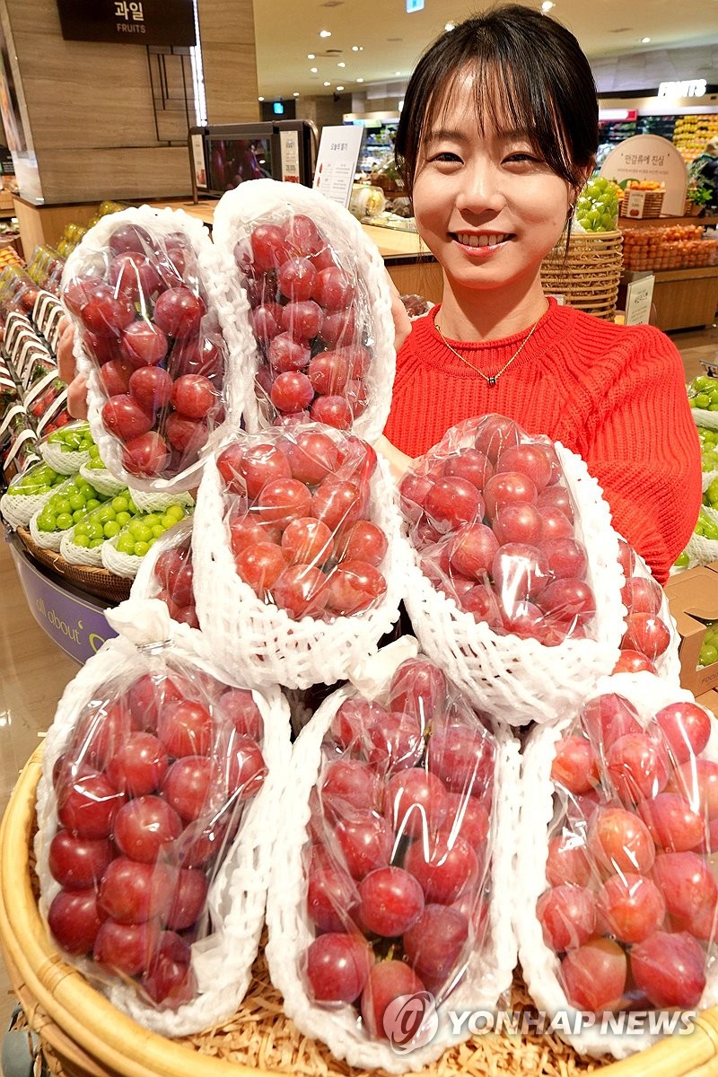 글로리스타 이미지