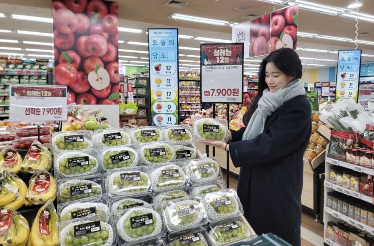 영프레시 이미지