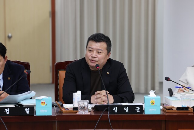 고와 이미지