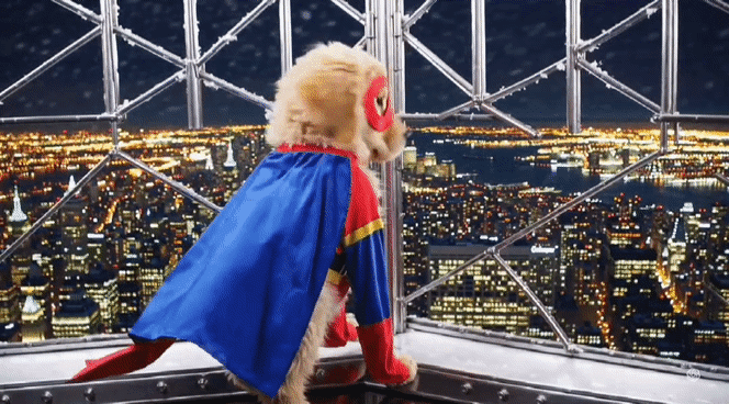 챗GPT 개발사 오픈AI가 공개한 동영상 생성 인공지능(AI) 모델 ‘소라’(Sora)가 제작한 영상. “마스크와 망토가 달린 히어로 옷을 입은 채 엠파이어스테이트 빌딩 꼭대기에 있는 골든 리트리버 강아지” 라는 명령어(프롬프트) 결과로 나온 영상이다. [오픈AI]