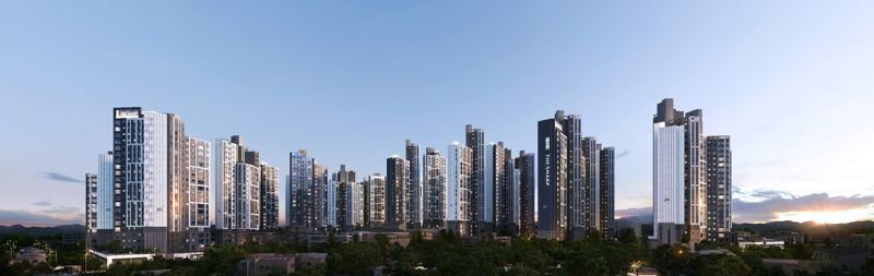 라비 이미지