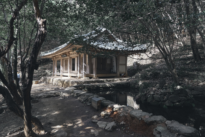 다산숲 이미지