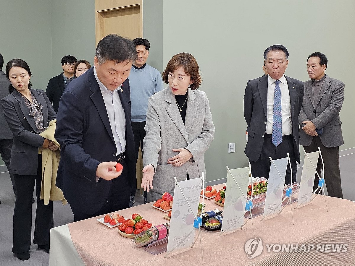 딸기축산 이미지