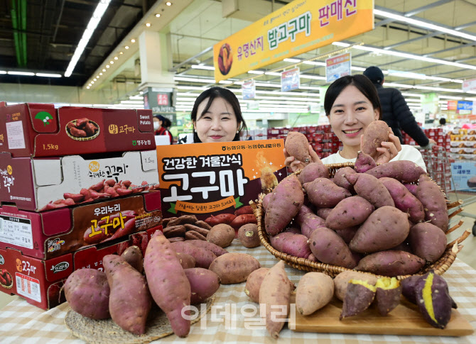 영암농협하나로마트 이미지