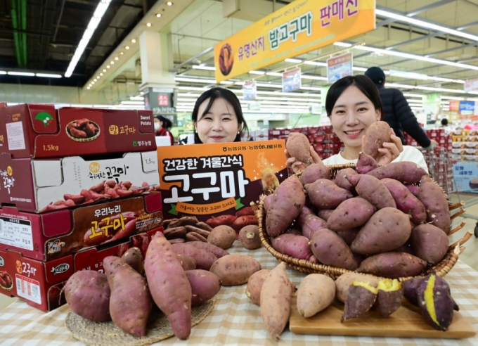 영양농업협동조합하나로마트 이미지