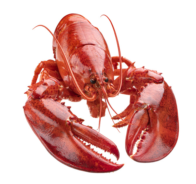 영국수산식당 이미지