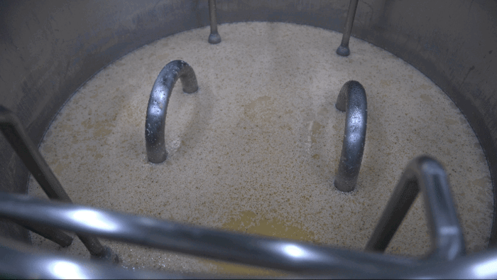 다도참주가 공장에서 발효중인 쌀  / 사진= 조형주 여행+ PD