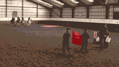 기마경찰 훈련 모습. 말은 기마경찰로 활약하기 위해서 다양한 종류의 둔감화 훈련을 거친다. ⓒTogetherTV 유튜브