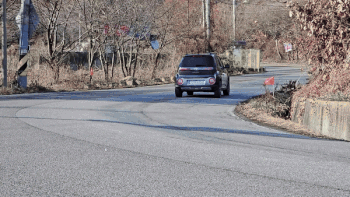 구조 당시 보더콜리 귀남이 모습. 동물단체 팅커벨프로젝트 제공