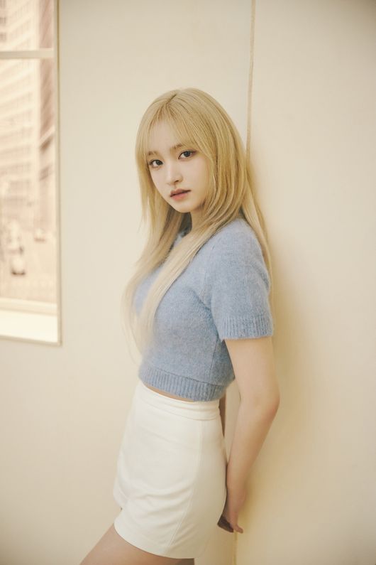 리즈 이미지