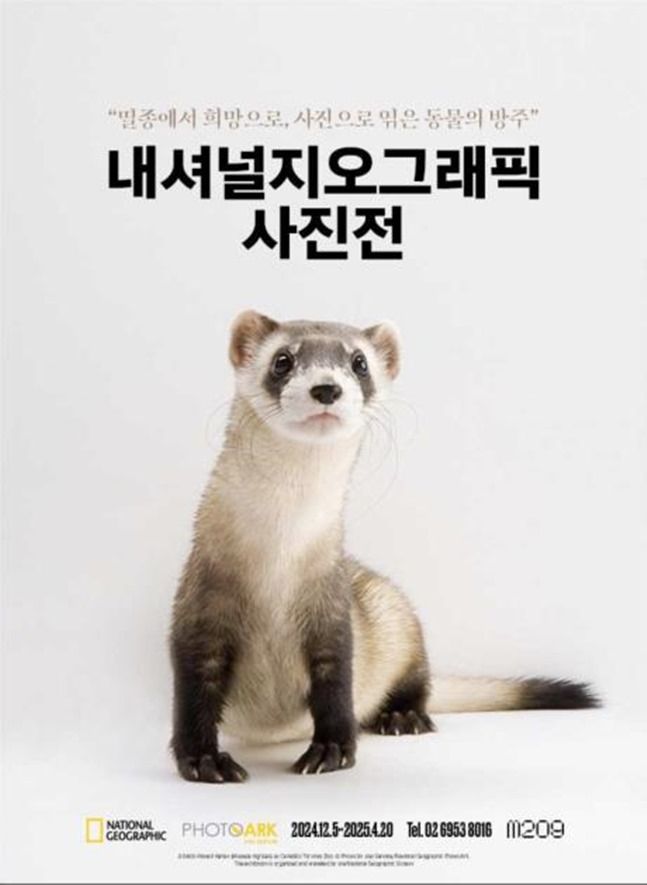 내셔널지오그래픽 이미지