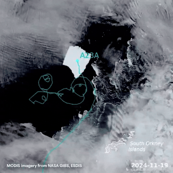 BAS가 엑스를 통해 공개한 A23a 빙산의 이동 모습 (영상=엑스 @BAS_News)