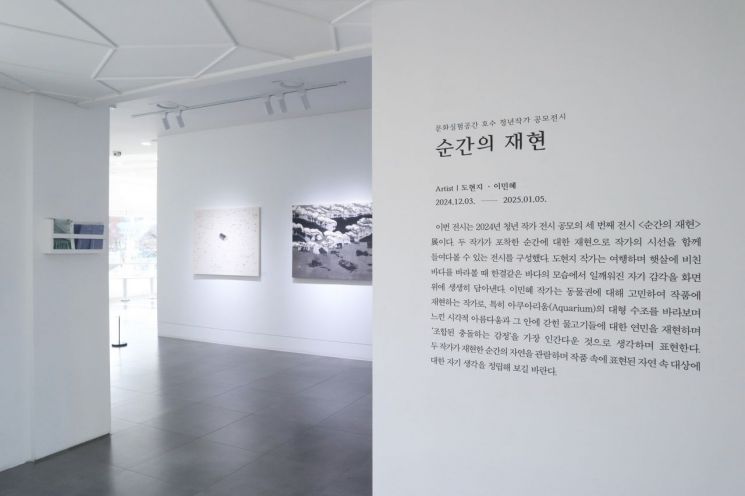 도현지 이미지