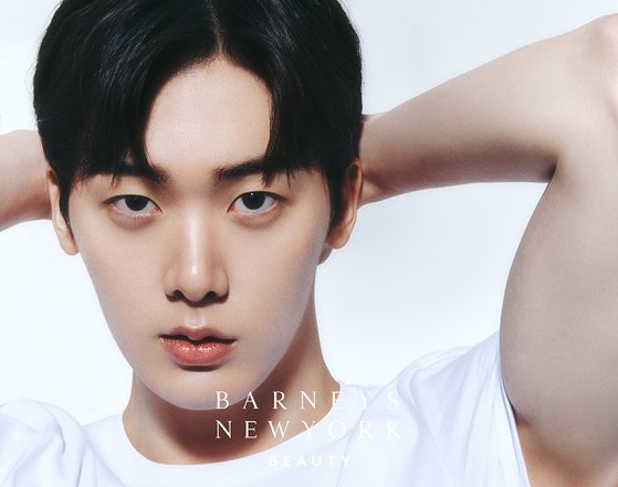 바니스 이미지