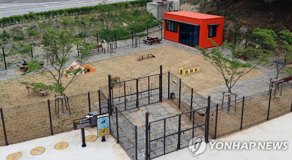 사단법인 나인 이미지