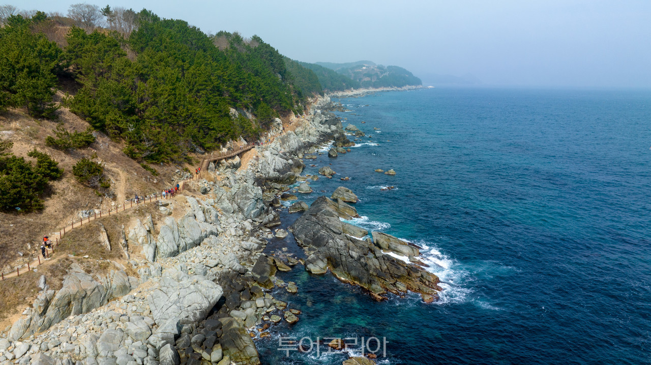 웰니스건강힐링센터 이미지