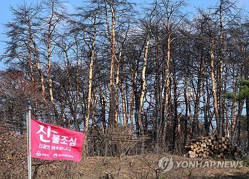 (주)산지 이미지