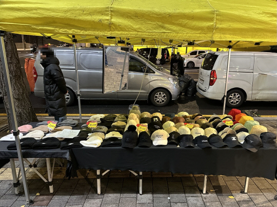 새빛 이미지