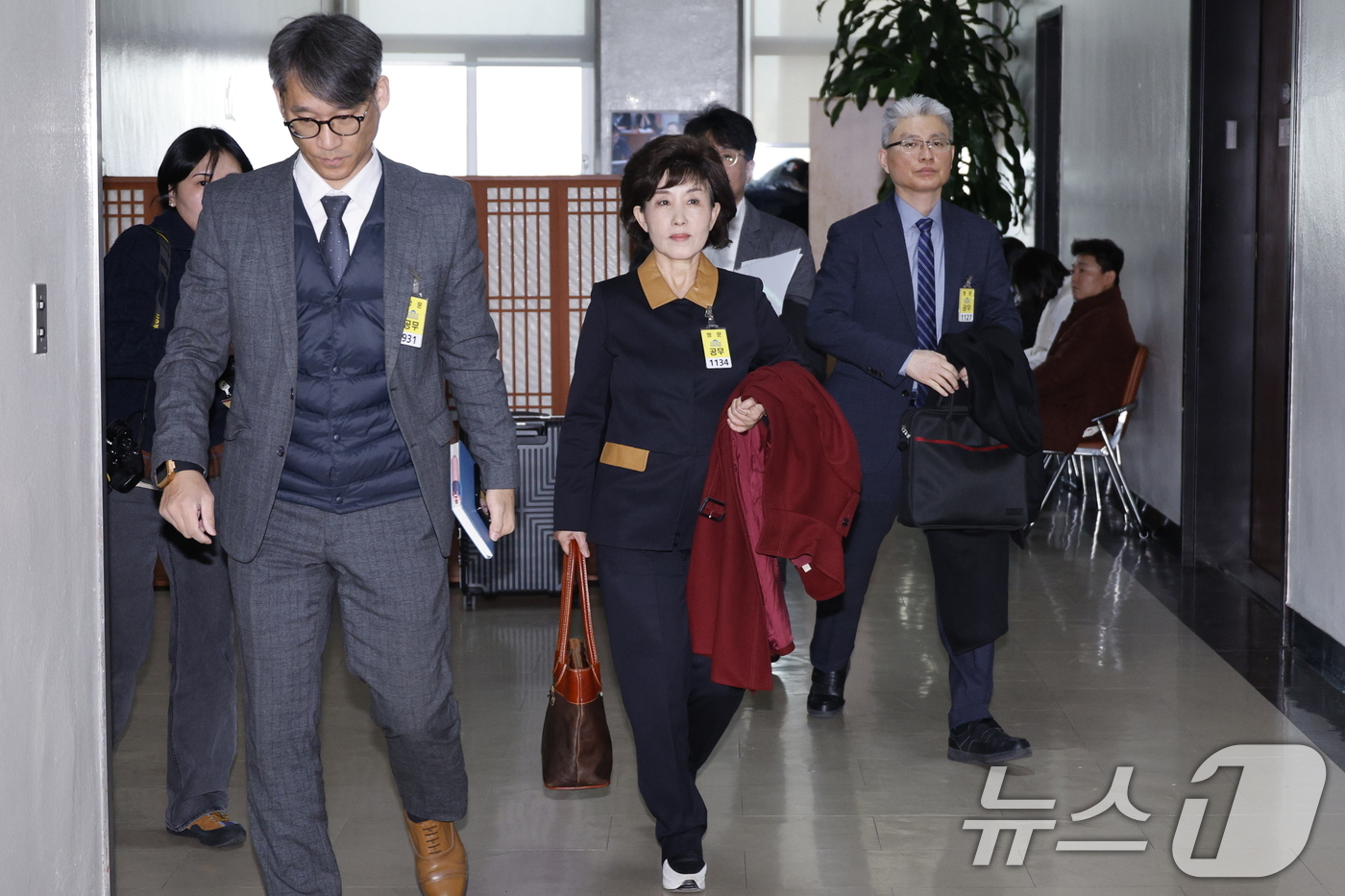 진화 이미지
