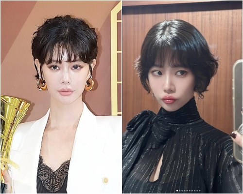 클라라 이미지