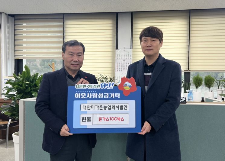 미가온 이미지