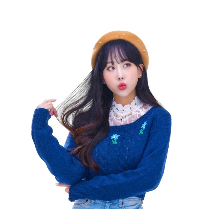 디알 이미지