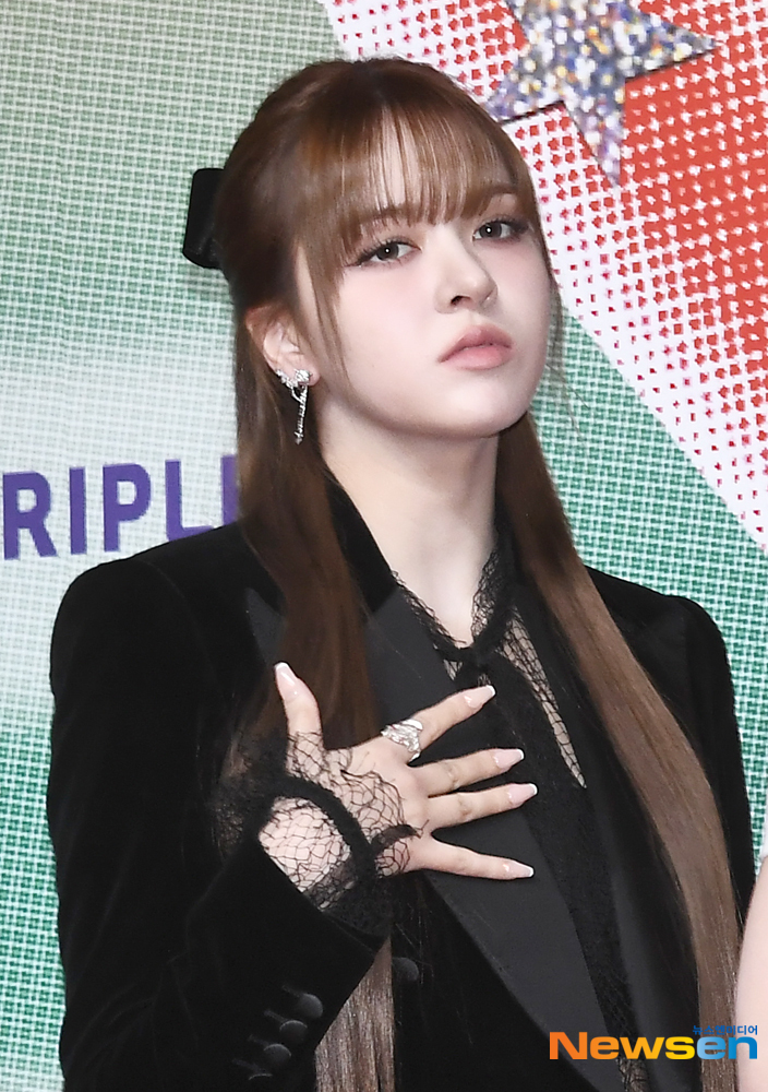 릴리 이미지