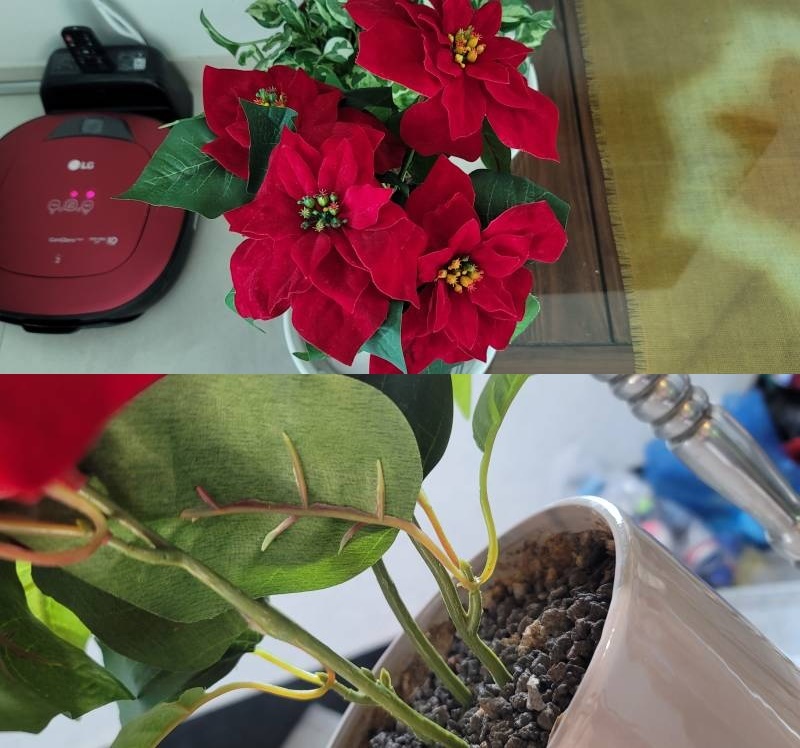 꽃，화분 이미지