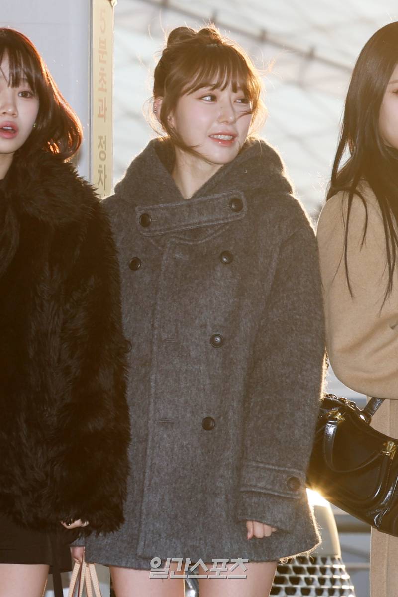 사쿠라 이미지