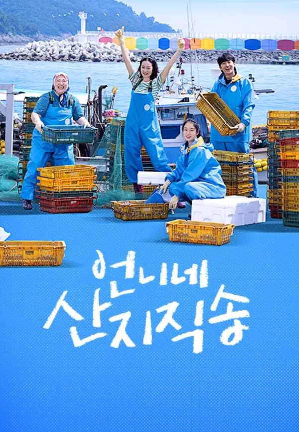 언니네 이미지