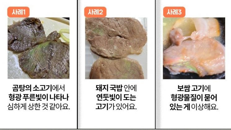 초록빛우리 이미지