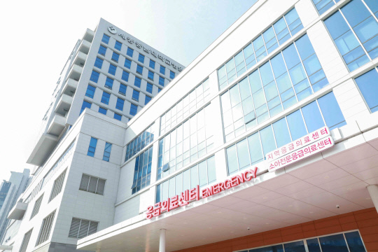 세종 이미지