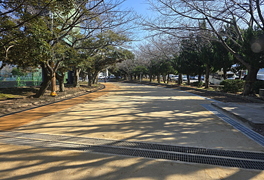 애향 이미지
