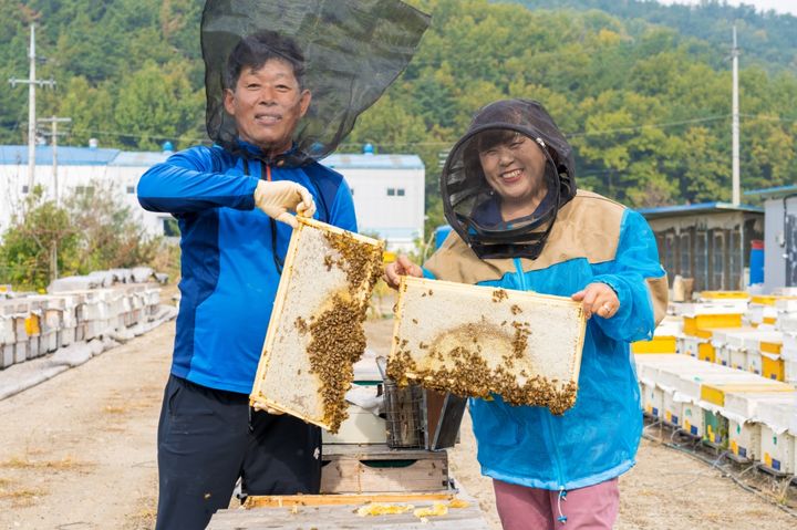 창녕꿀벌농장 이미지