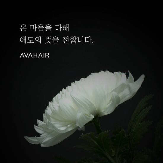 에이바헤어 이미지