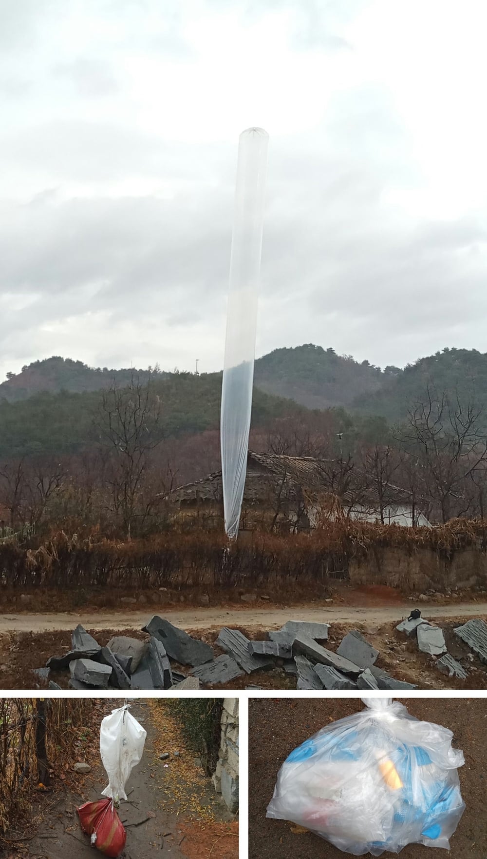 전단 이미지