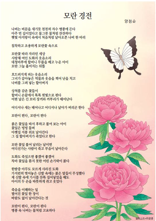 양점순 이미지